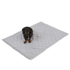 Manta Para Perros Y Gatos Velvet Granito -Productos Para Mascotas dsc3110 5