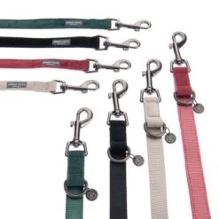 Correa Ajustable Nomad Tales Blush ébano Para Perros -Productos Para Mascotas nomad tales bloom halsbaender fg 1433 3