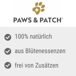 Primera página -Productos Para Mascotas paws patch 7