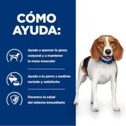 Hill's R/d Prescription Diet Weight Loss Comida Húmeda Para Perros 20 Hill's R/d Prescription Diet Weight Loss Comida Húmeda Para Perros -Productos Para Mascotas pd rd dog bk24536m bk27973 how helps es 9