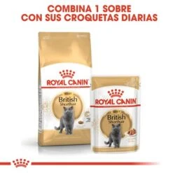Royal Canin Breed British Shorthair -Productos Para Mascotas rc fbn wet britishsh mv eretailkit 4 es es 8