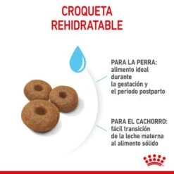 Royal Canin Maxi Starter 20 Royal Canin Maxi Starter -Productos Para Mascotas rc spt dry maxistart cv 4 es es 5
