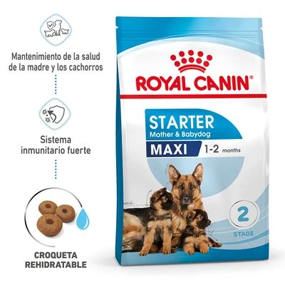 Royal Canin Maxi Starter 6 Royal Canin Maxi Starter - Imagen 4