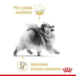 Royal Canin Breed Pomerania Mousse -Productos Para Mascotas rc spt wet pomad cv 1 es es 5