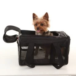 Transportin Homologado Para Cabina De Avión Sherpa® Original Deluxe 14 Transportin Homologado Para Cabina De Avión Sherpa® Original Deluxe -Productos Para Mascotas sherpa originaldeluxe petcarrier hs 01 7